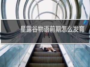 星露谷物语前期怎么发育