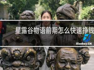 星露谷物语前期怎么快速挣钱