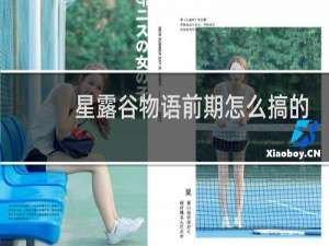 星露谷物语前期怎么搞的