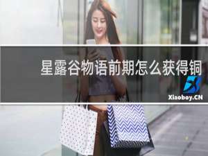 星露谷物语前期怎么获得铜