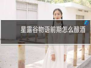 星露谷物语前期怎么酿酒