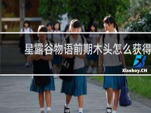 星露谷物语前期木头怎么获得
