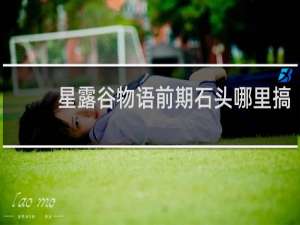 星露谷物语前期石头哪里搞