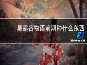 星露谷物语前期种什么东西