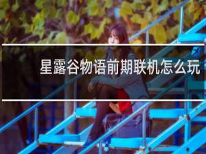 星露谷物语前期联机怎么玩