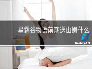 星露谷物语前期送山姆什么