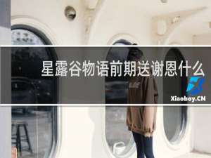 星露谷物语前期送谢恩什么