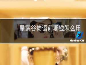 星露谷物语前期钱怎么用