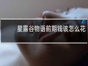 星露谷物语前期钱该怎么花