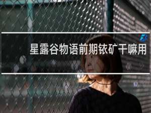 星露谷物语前期铱矿干嘛用