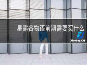 星露谷物语前期需要买什么