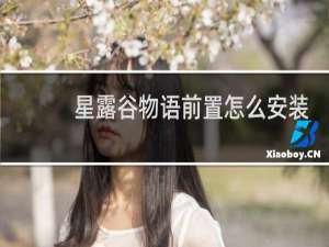 星露谷物语前置怎么安装