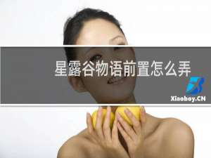 星露谷物语前置怎么弄