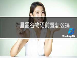 星露谷物语前置怎么搞