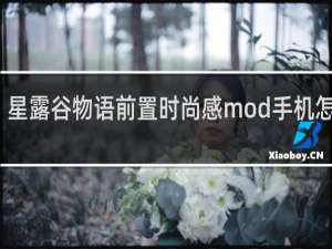 星露谷物语前置时尚感mod手机怎么装