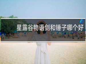 星露谷物语剑和锤子哪个好