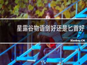 星露谷物语剑好还是匕首好