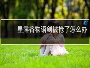 星露谷物语剑被抢了怎么办