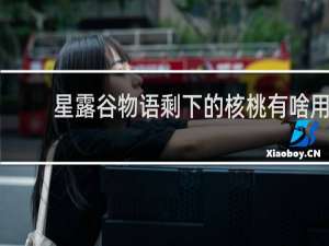 星露谷物语剩下的核桃有啥用