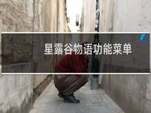 星露谷物语功能菜单