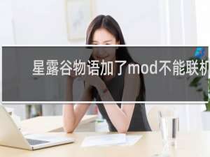 星露谷物语加了mod不能联机