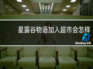 星露谷物语加入超市会怎样