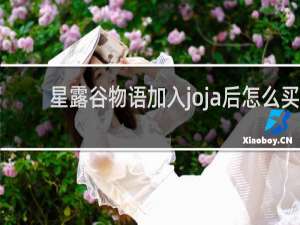 星露谷物语加入joja后怎么买