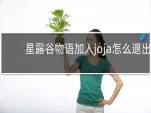 星露谷物语加入joja怎么退出