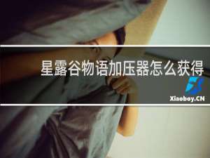 星露谷物语加压器怎么获得