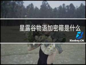 星露谷物语加密箱是什么