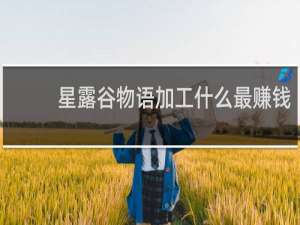 星露谷物语加工什么最赚钱
