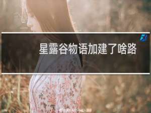 星露谷物语加建了啥路