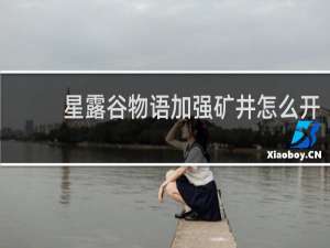 星露谷物语加强矿井怎么开