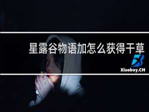 星露谷物语加怎么获得干草