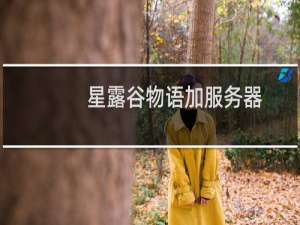 星露谷物语加服务器