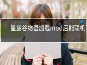 星露谷物语加载mod后能联机吗