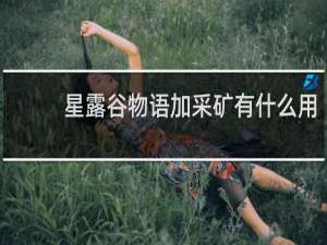 星露谷物语加采矿有什么用