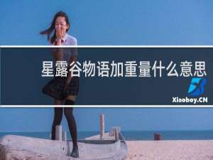 星露谷物语加重量什么意思