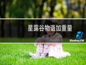 星露谷物语加重量