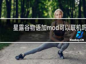 星露谷物语加mod可以联机吗