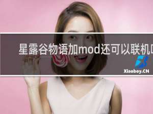 星露谷物语加mod还可以联机吗