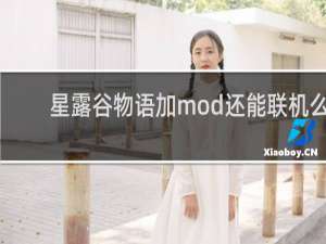 星露谷物语加mod还能联机么