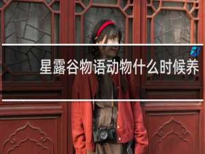 星露谷物语动物什么时候养