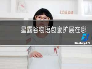 星露谷物语包裹扩展在哪