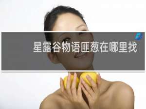 星露谷物语匪葱在哪里找