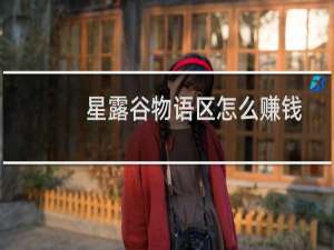 星露谷物语区怎么赚钱