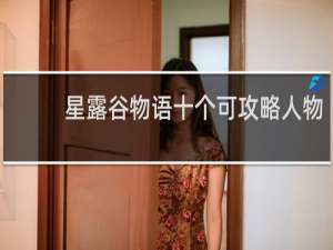 星露谷物语十个可攻略人物