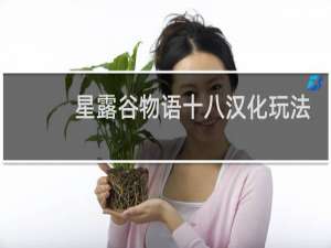 星露谷物语十八汉化玩法