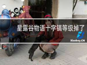 星露谷物语十字镐等级掉了