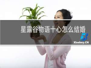星露谷物语十心怎么结婚